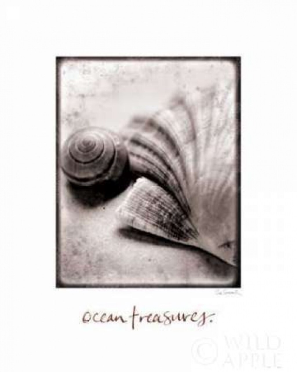 Ocean Treasures Poster Print by Sue Schlabach - Item # VARPDX5847